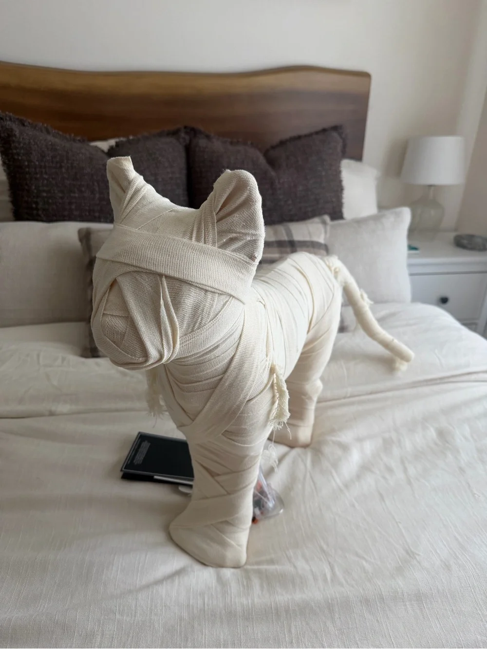 Viral Matha Stewart Tattered Fabric Cloth Wrapped LED Light Up Mummy Cat NEW